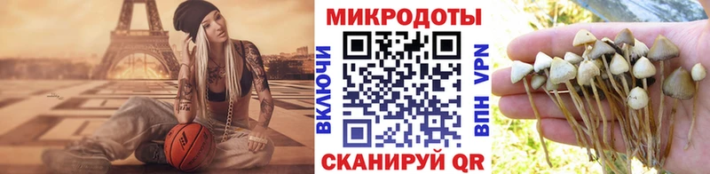 Псилоцибиновые грибы мицелий  закладки  Ликино-Дулёво 